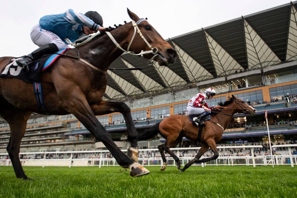 ASCOT, ENGLAND - MAY 01: Enigmatic (R) ridden by Darragh Keenan wins the Manny Mercer Apprentice Handicap the Royal Ascot Trials Day on May 01, 2019 in Ascot, England. (Photo by Justin Setterfield/Getty Images)